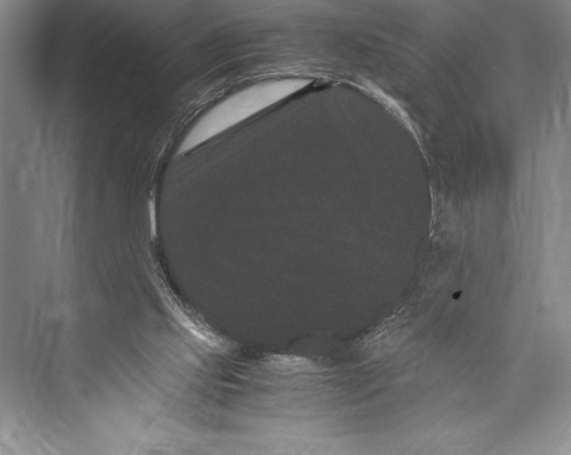 X0000072500061200608111639