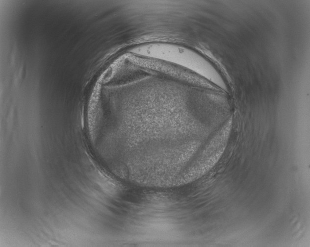 X0000072500062200608111639