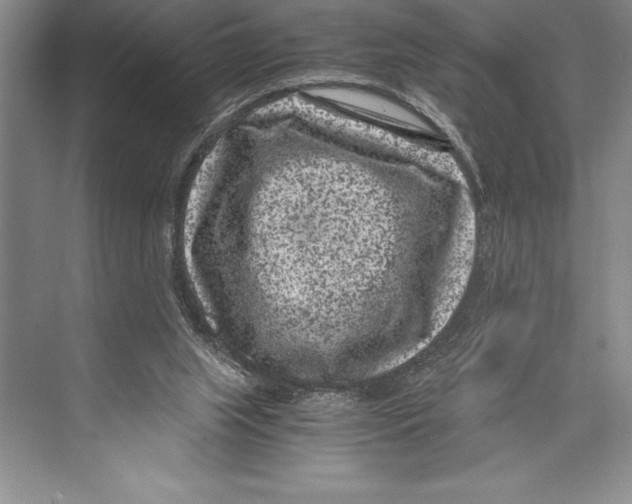 X0000072500063200608111639