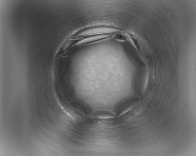 X0000072500064200608111639