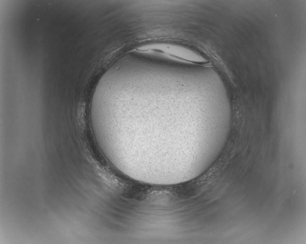 X0000072500066200608111639