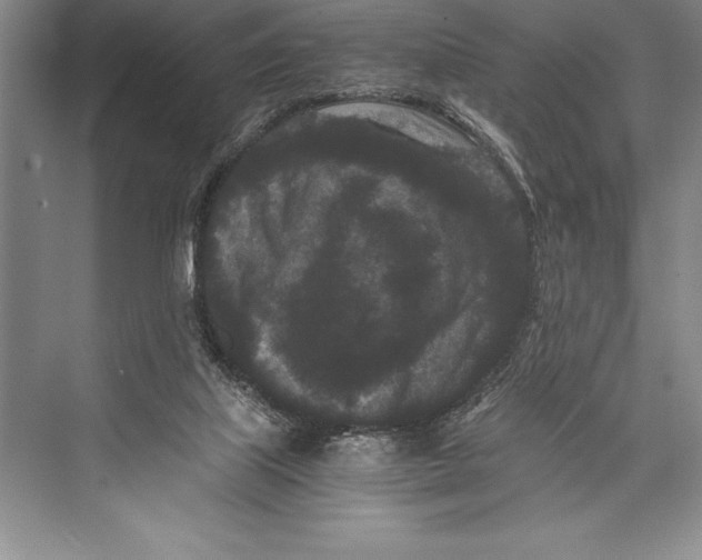 X0000072500067200608111639