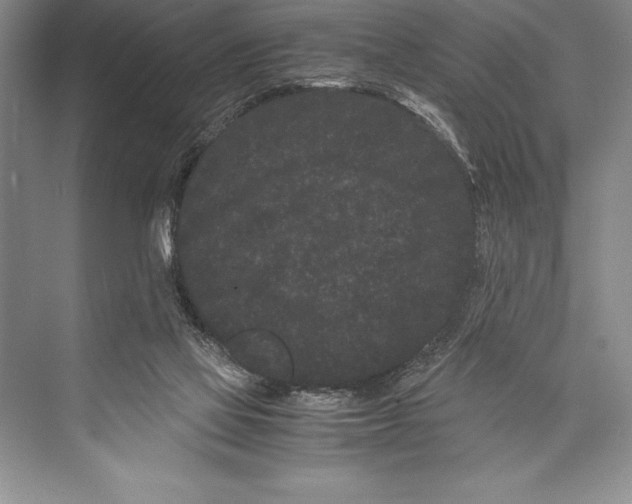 X0000072500069200608111639