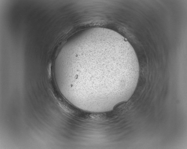 X0000072500070200608111639