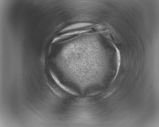 X0000072500072200608111639