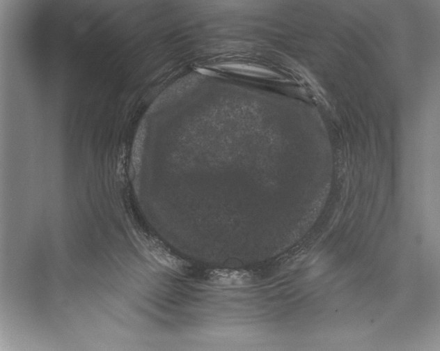 X0000072500073200608111639