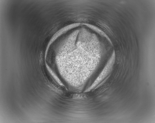 X0000072500077200608111639