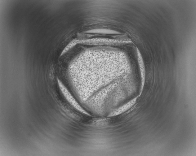 X0000072500078200608111639