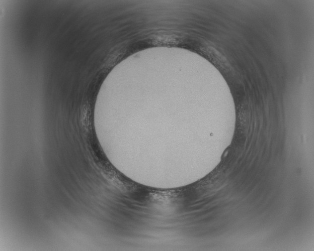 X0000072500079200608111639