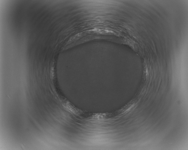 X0000072500080200608111639