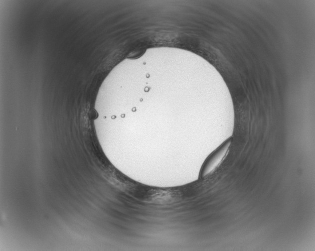 X0000072500083200608111639