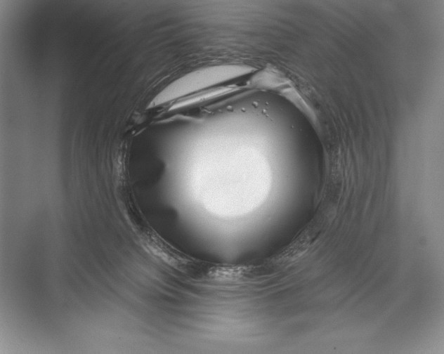 X0000072500084200608111639