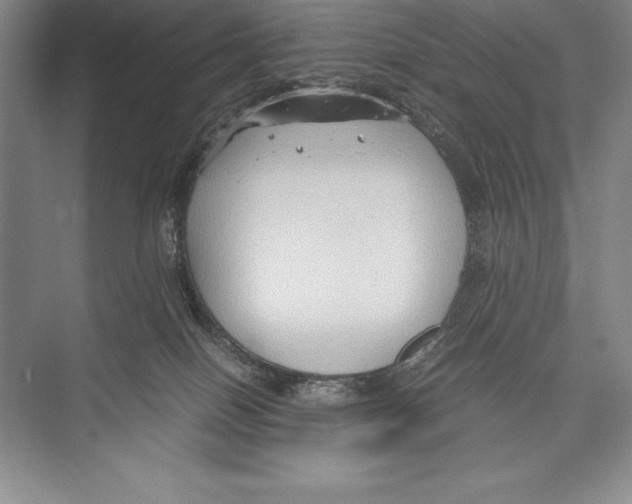 X0000072500086200608111639