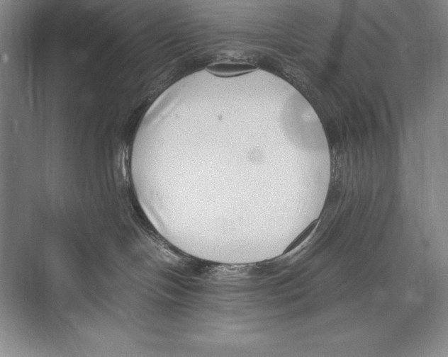 X0000072500094200608111639