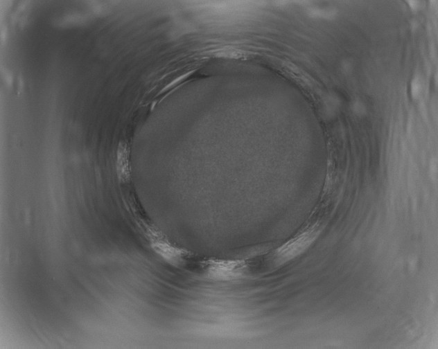 X0000072500096200608111639