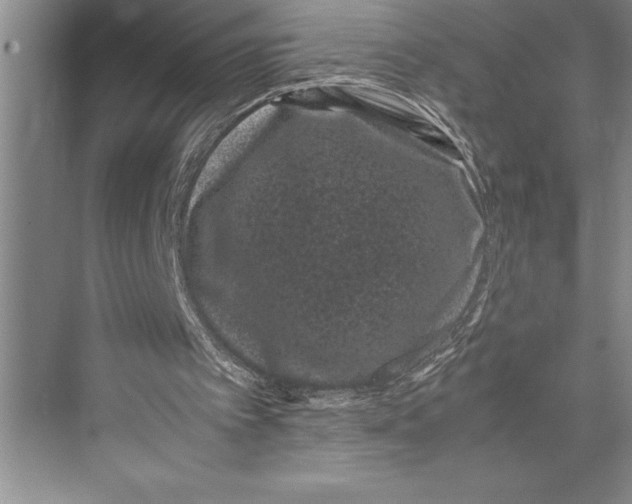 X0000072500097200608111638