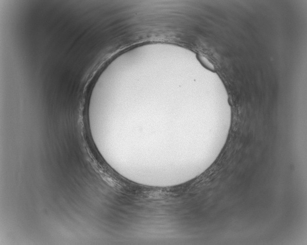 X0000072500098200608111638