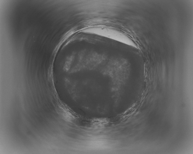 X0000072500099200608111638