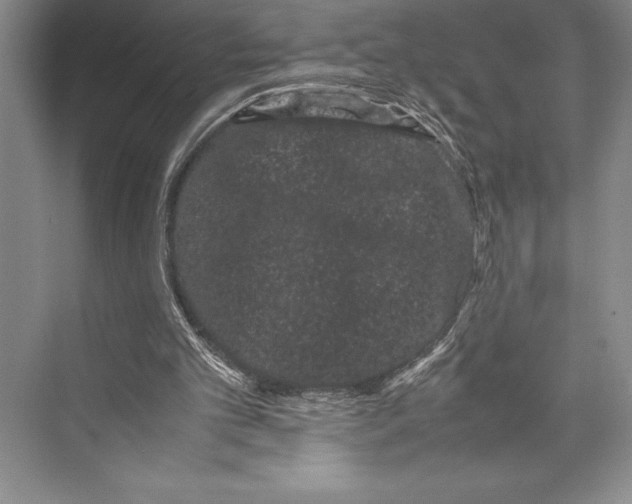 X0000072500101200608111638