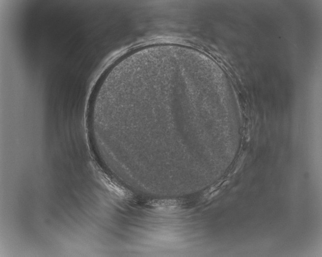 X0000072500104200608111638