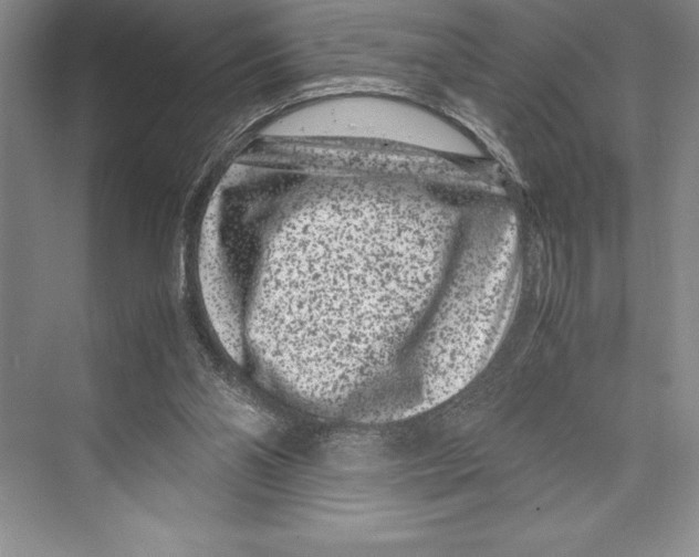 X0000072500110200608111638