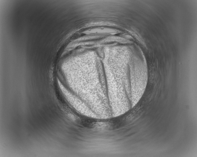 X0000072500111200608111638