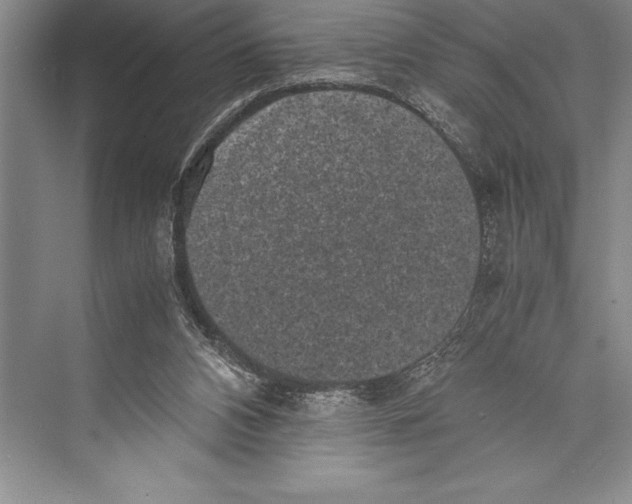 X0000072500112200608111638