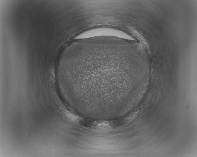 X0000072500113200608111638