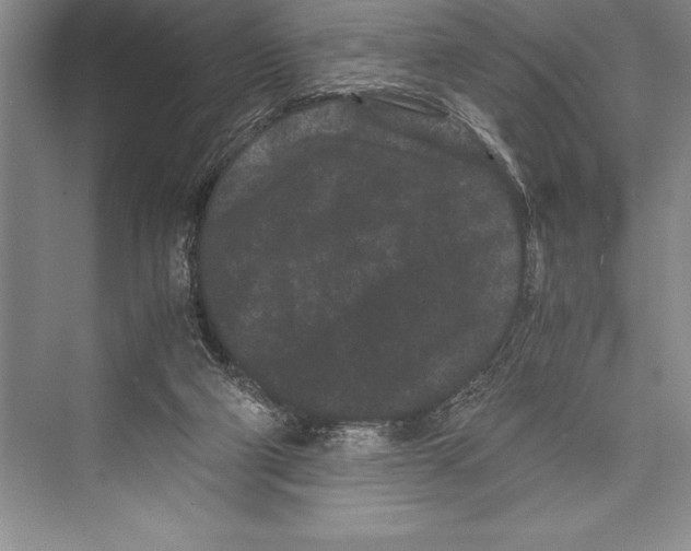 X0000072500114200608111638