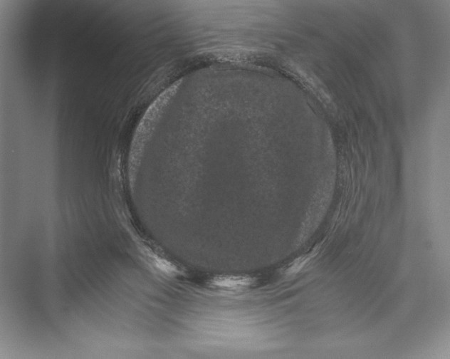 X0000072500117200608111638