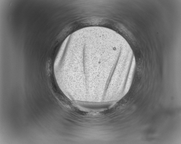 X0000072500119200608111638