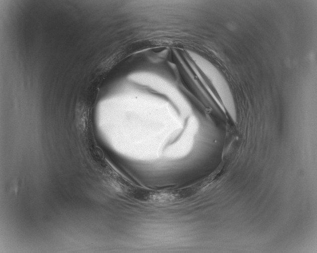 X0000072500125200608111638