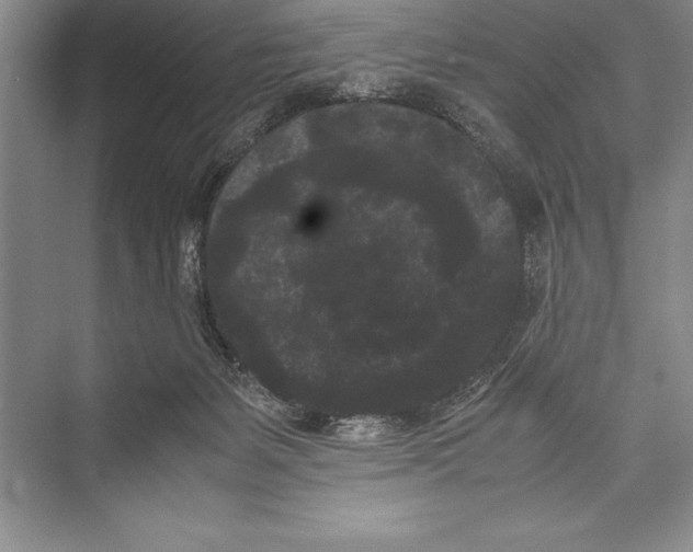 X0000072500127200608111638