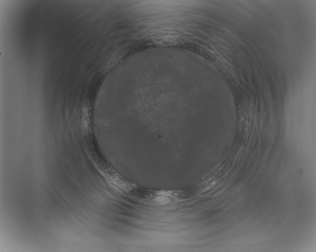 X0000072500130200608111638