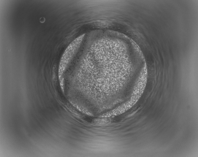 X0000072500131200608111638