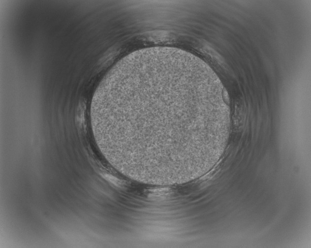 X0000072500132200608111638