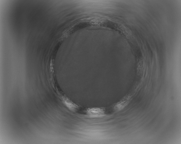 X0000072500137200608111638