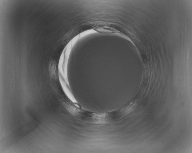 X0000072500143200608111638