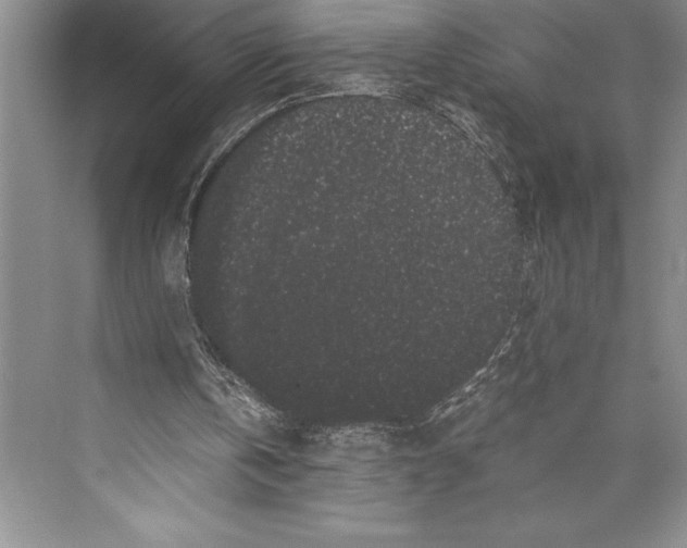 X0000072500146200608111637