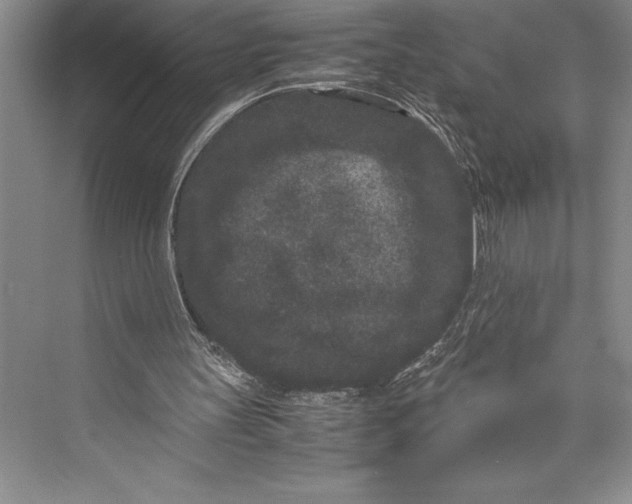 X0000072500147200608111637