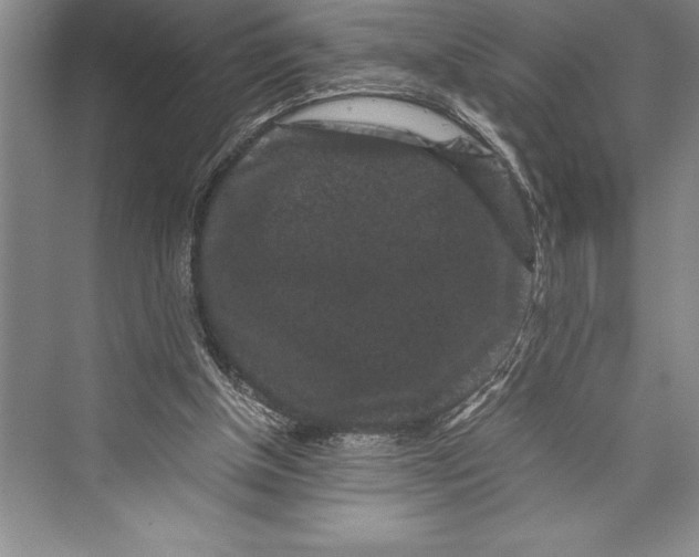 X0000072500154200608111637