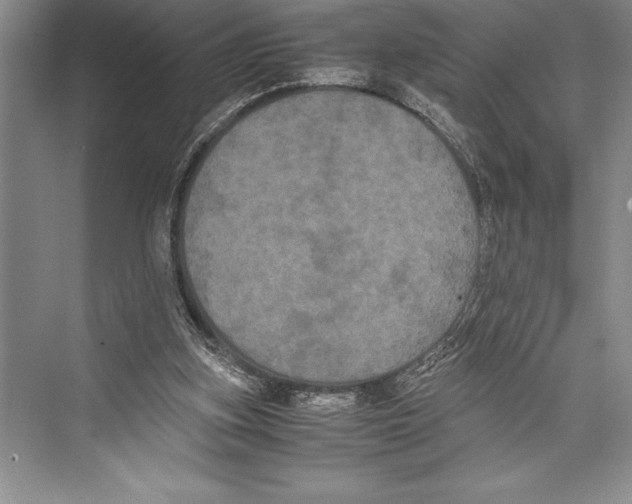 X0000072500155200608111637