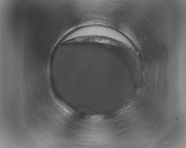 X0000072500156200608111637