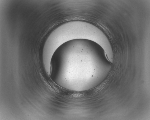 X0000072500158200608111637