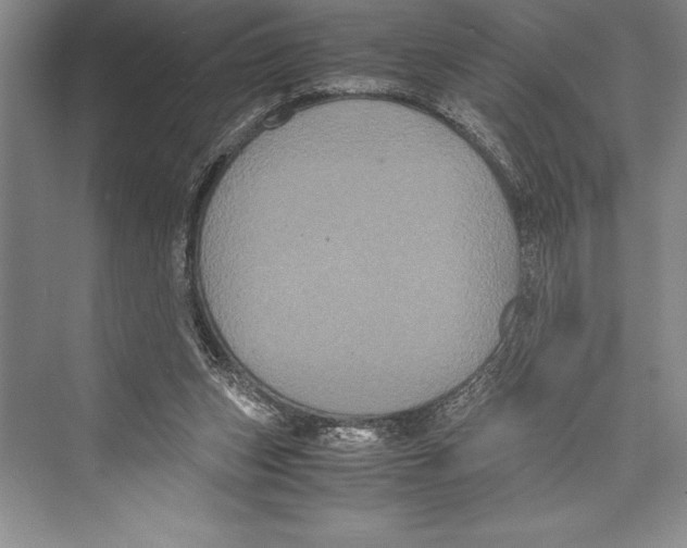 X0000072500159200608111637