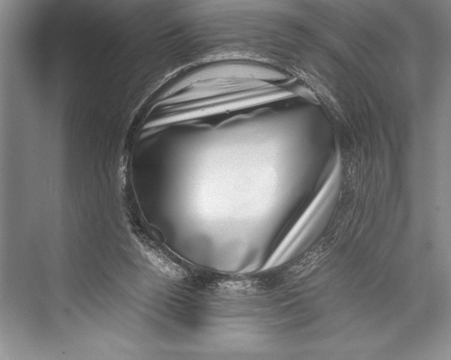 X0000072500160200608111637