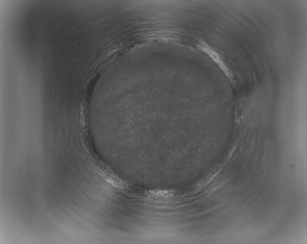 X0000072500161200608111637