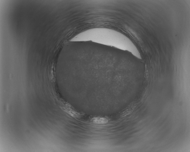 X0000072500169200608111637