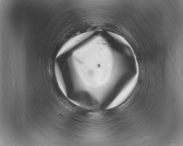 X0000072500170200608111637