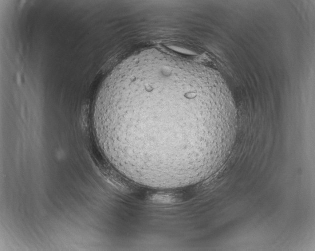 X0000072500171200608111637